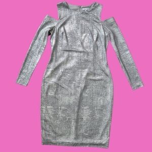 Calvin Klein Shimmering Silver Dress